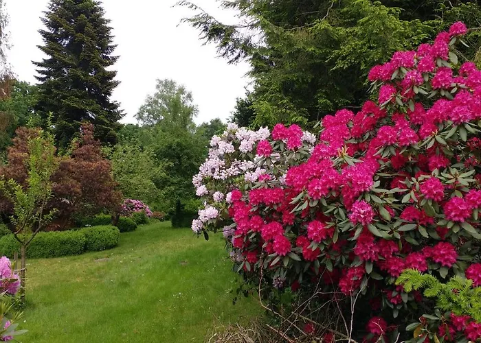 Ferienwohnung Gartenblick