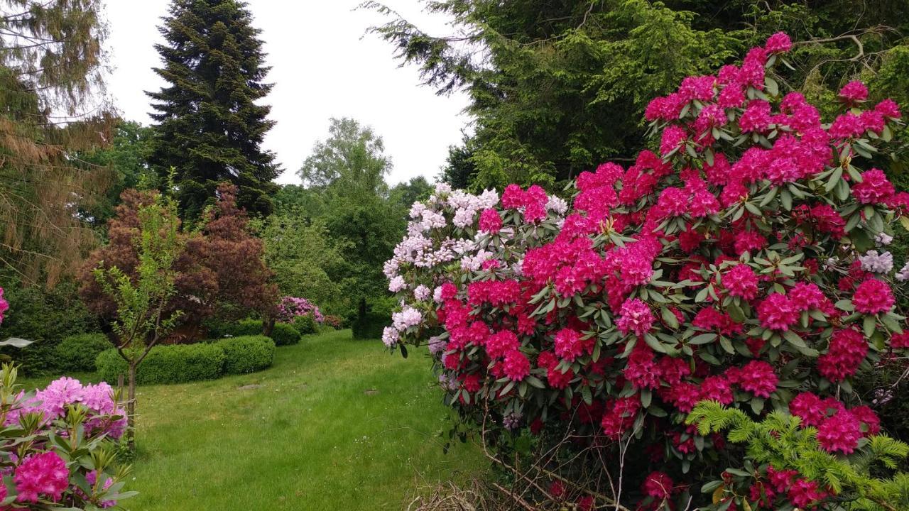 Gartenblick Apartment Worpswede
